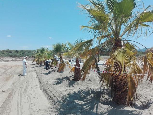 Curinga (CZ). Sequestrata spiaggia per occupazione abusiva