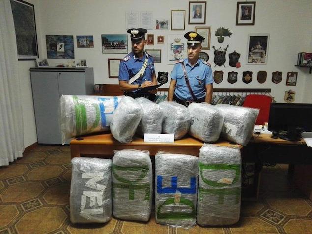 Villapiana (CS). Su furgone con 55 kg marijuana, arrestato