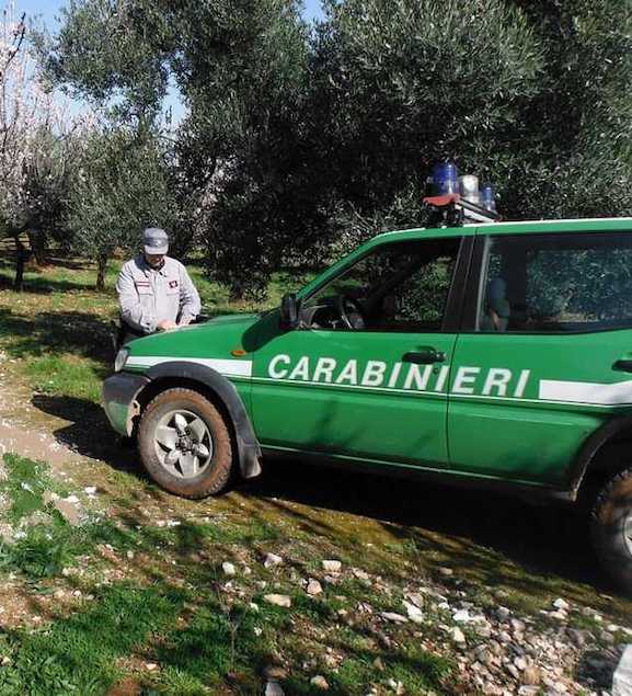 Una pattuglia dei carabinieri Forestale