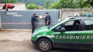 Conflenti (CZ). Deposito irregolare di veicoli, denunciate tre persone