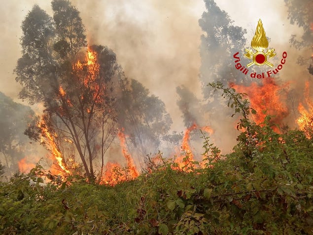 Gizzeria. Incendio arbusti e macchia mediterranea in loc. Mortilla e S. Caterina