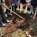 Lamezia. "Un albero per il futuro" all' I.C. Nicotera Costabile