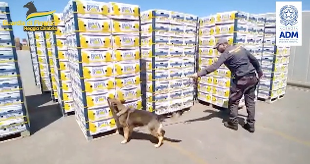 Porto di Gioia Tauro: sequestrati oltre 650 kg di cocaina