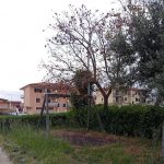 Lamezia, Gianturco: vergognoso abbandono del parco di via Pinna a S. Eufemia