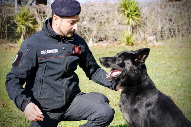 Squillace (CZ). Un arresto per detenzione di marijuana