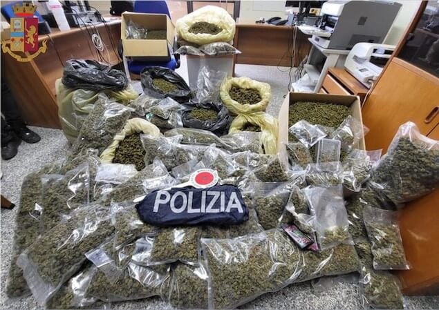 Droga: 65 chili di marijuana scoperti e sequestrati nel Vibonese