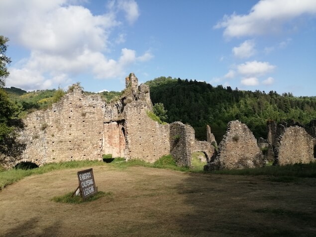 Festival delle erranze: cammino narrato verso all’abbazia di Corazzo