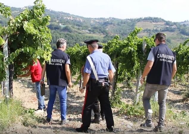 Girifalco. Sfruttamento del lavoro, emesse 13 ordinanze di custodia cautelare