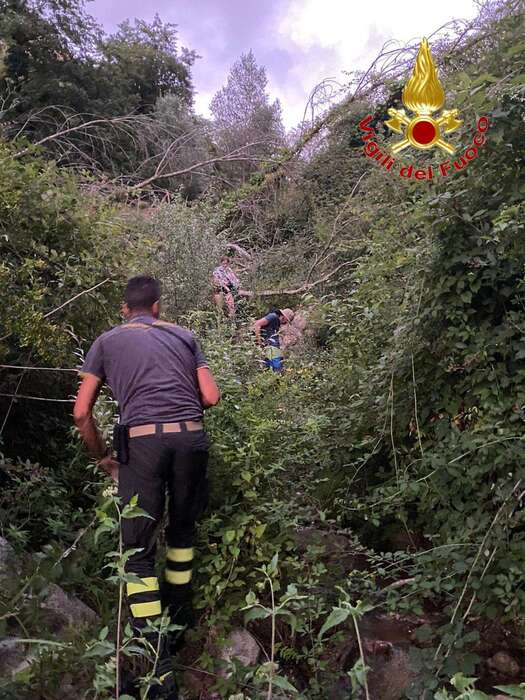 Si smarriscono 2 escursionisti, soccorsi dai vigili del fuoco