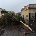 Maltempo. Tempesta a Lamezia, la città conta i danni