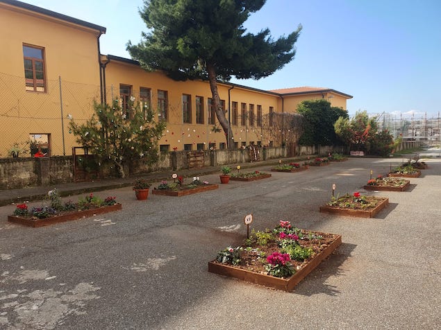 A Lamezia nasce la “Casa dei bambini”: pronta l’apertura di una nuova sezione a metodo Montessori