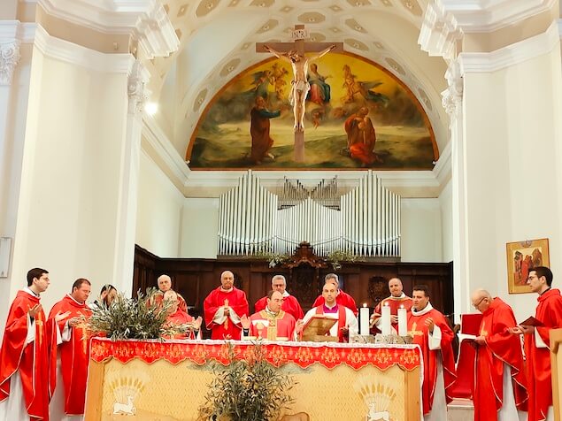 Il vescovo ha presieduto la santa messa della Domenica delle Palme