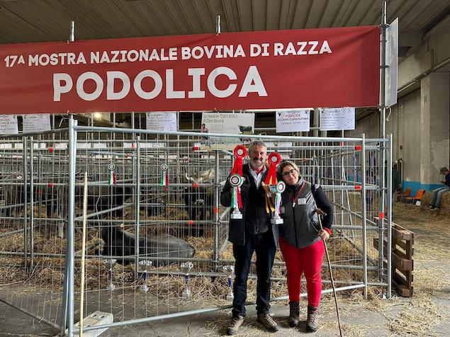 Razza podolica: a CampaniAlleva Expo premiati gli allevatori calabresi