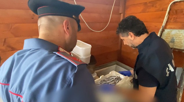 Operazione “Wave”.  Carabinieri e Capitaneria a tutela dell'ambiente e degli ecosistemi marini