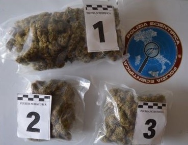 Catanzaro Nascondeva due etti marijuana zaino arrestato