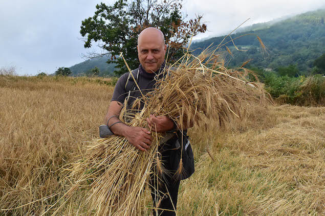 Le vie del Grano, il 23 luglio nuovo evento del Festival delle Erranze e della Filoxenia