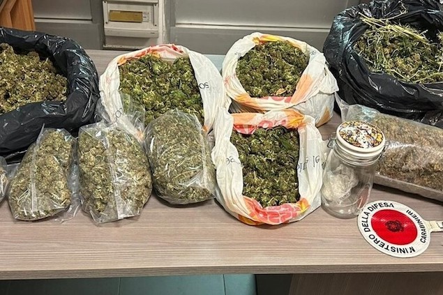 Reggio. Trovato in casa con 10 chili di marijuana, arrestato 19enne