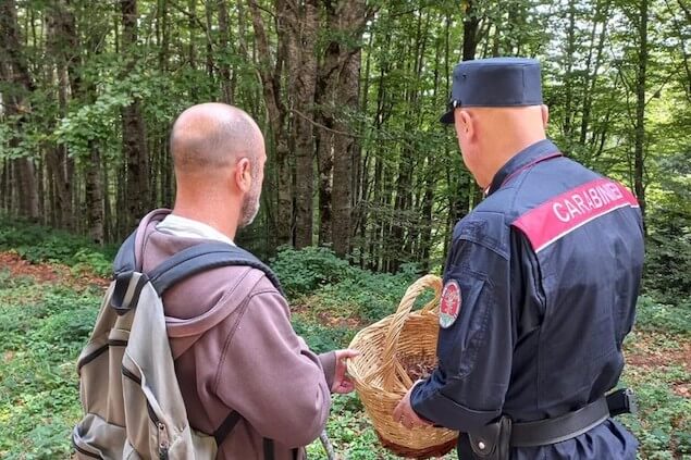 Decine di cercatori di funghi sanzionati nel cosentino