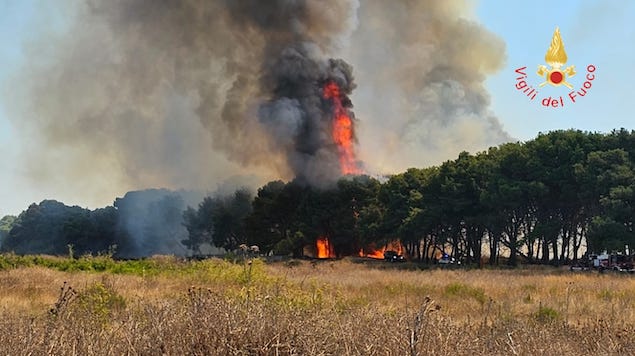 Isola Capo Rizzuto. Grosso incendio a pineta e macchia mediterranea