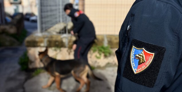 Lamezia. Servizio ad alto impatto dei carabinieri. Droga, armi e lavoratori irregolari