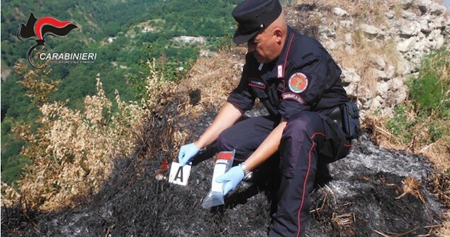 Incendio boschivo nella Presila: individuati i responsabili