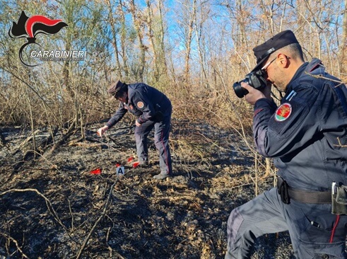 Incendio boschivo nella Presila: individuati i responsabili