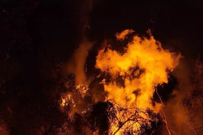 Incendio doloso in un'azienda di legname del reggino