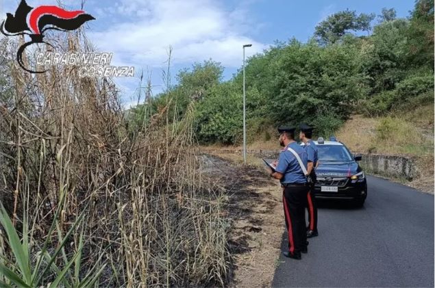 Appicca incendio vicino al bosco, arrestata piromane di 68 anni