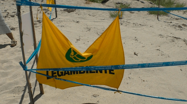 Formicoli: Legambiente Ricadi mette in sicurezza nido di tartaruga Caretta Caretta