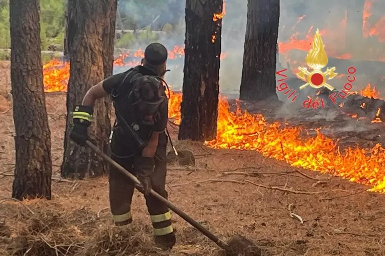 Vasto incendio di bosco e macchia a Bagaladi