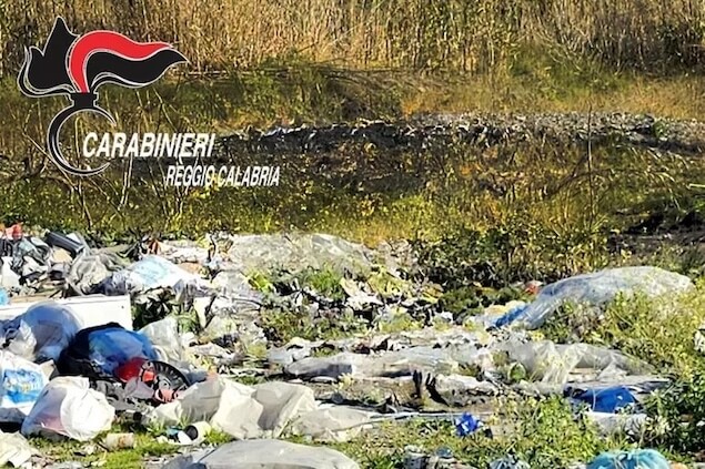 In due mesi 42 denunce dei carabinieri nel Reggino per reati ambientali