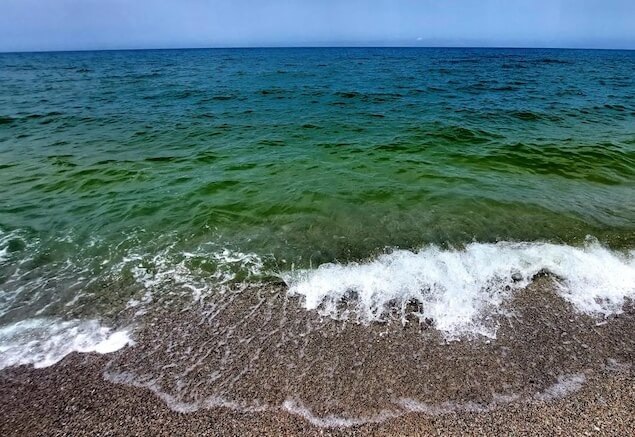 mare sporco inquinato