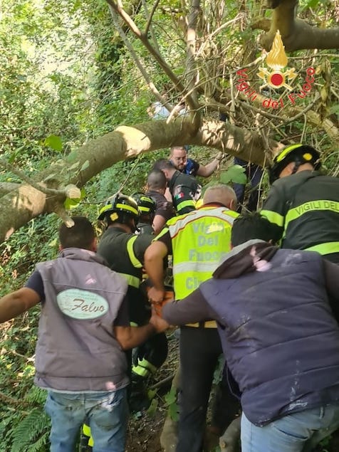 Ritrovato vivo 92enne disperso nei boschi di Gizzeria