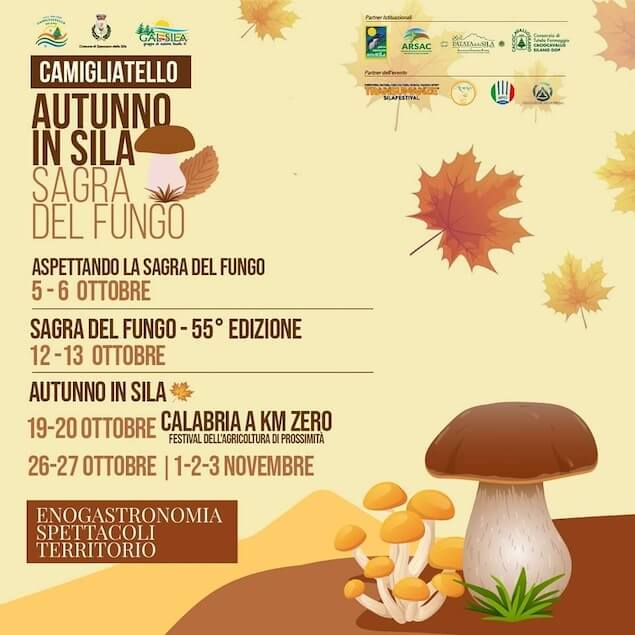 Si avvicina la 55ª Sagra del Fungo di Camigliatello Silano