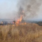 Campagna antincendio boschivo 2024 al termine dati positivi.1