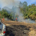 Campagna antincendio boschivo 2024 al termine dati positivi.1