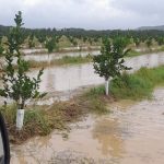 Coldiretti Calabria: ingenti danni all’agricoltura nel lametino, urge sostegno