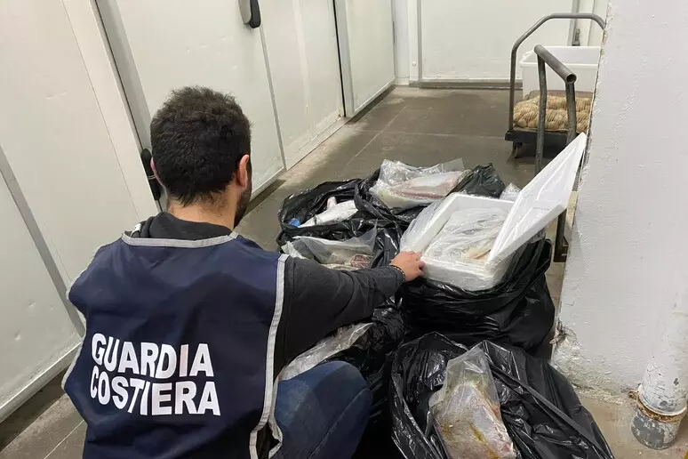 Guardia costiera sequestra 1500 chili di prodotto ittico