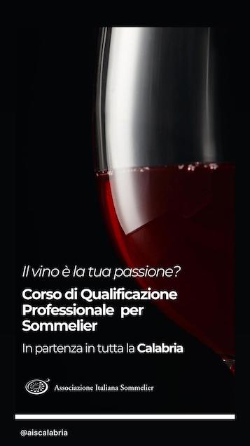 Lamezia: al via il nuovo corso AIS per diffondere la cultura del vino e del bere consapevole