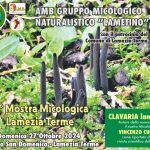 mostra-micologica-del-gruppo-micologico-naturalistico-lametino