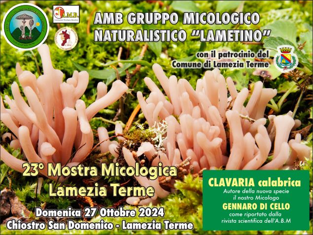 mostra-micologica-del-gruppo-micologico-naturalistico-lametino