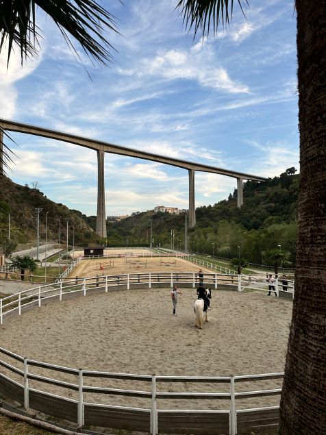 A Catanzaro un Concorso Nazionale Equestre nell’incantevole Centro “Valle dei Mulini”