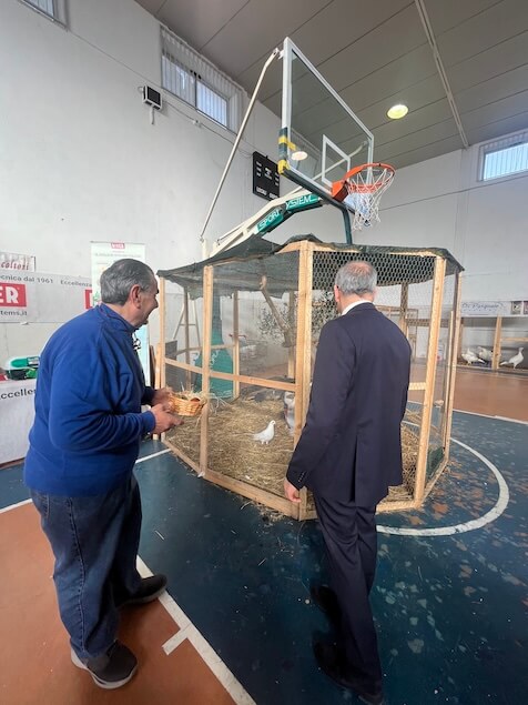 Lamezia celebra la decima Mostra Intersociale di Avicoli e Colombi Ornamentali