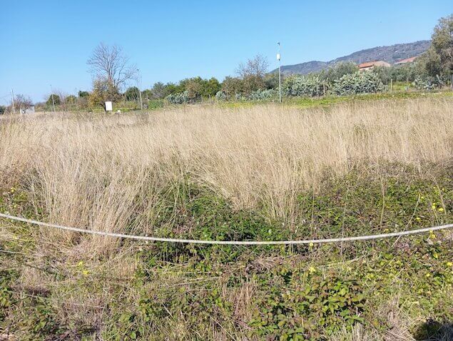 Lamezia. Terina: un patrimonio dimenticato tra storia e abbandono